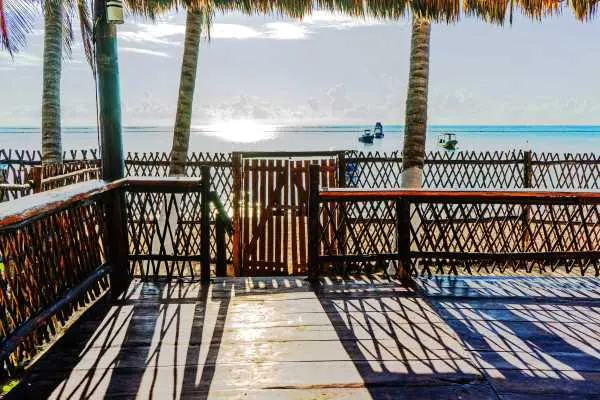 Palapa7